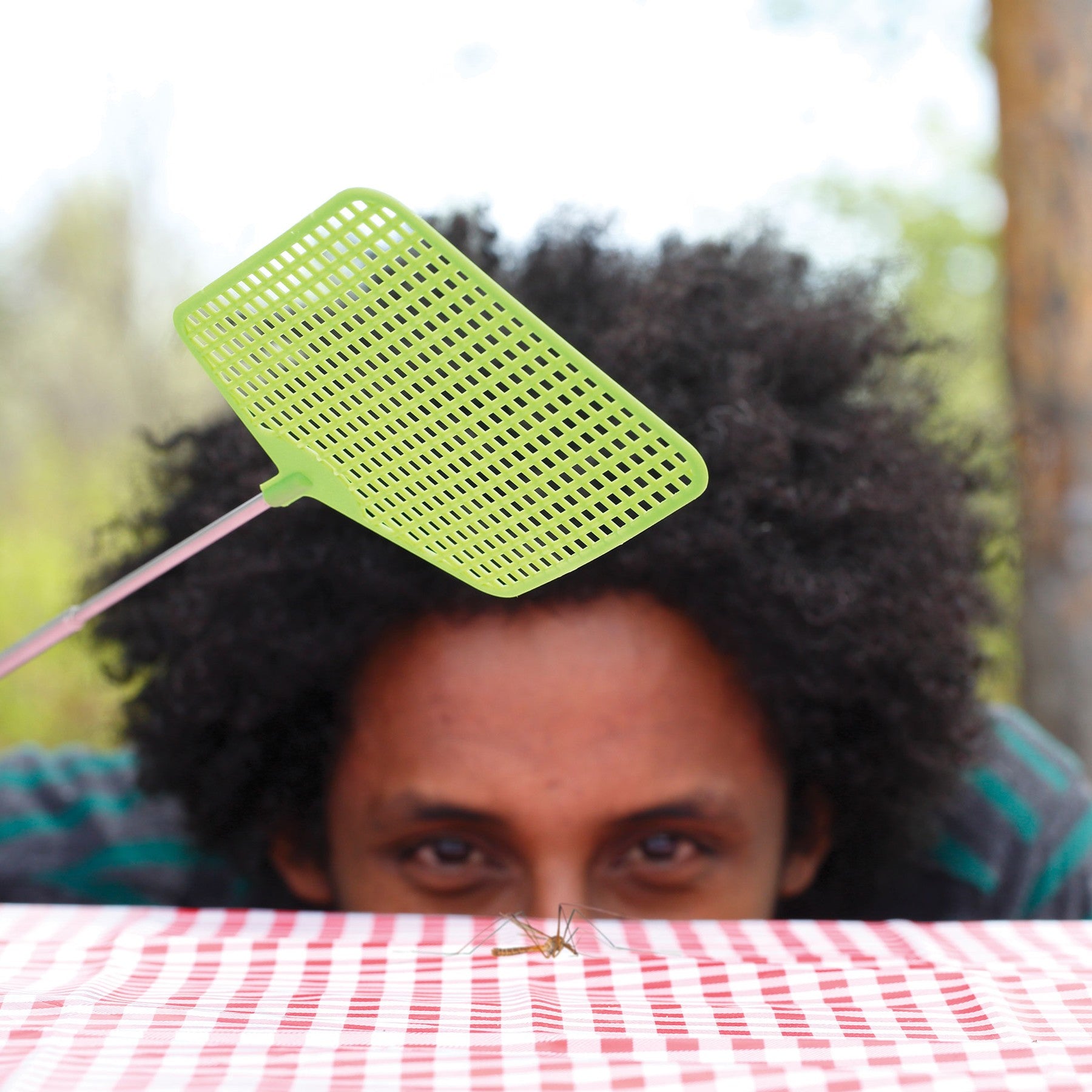 Coghlan's Telescopic Fly Swatter