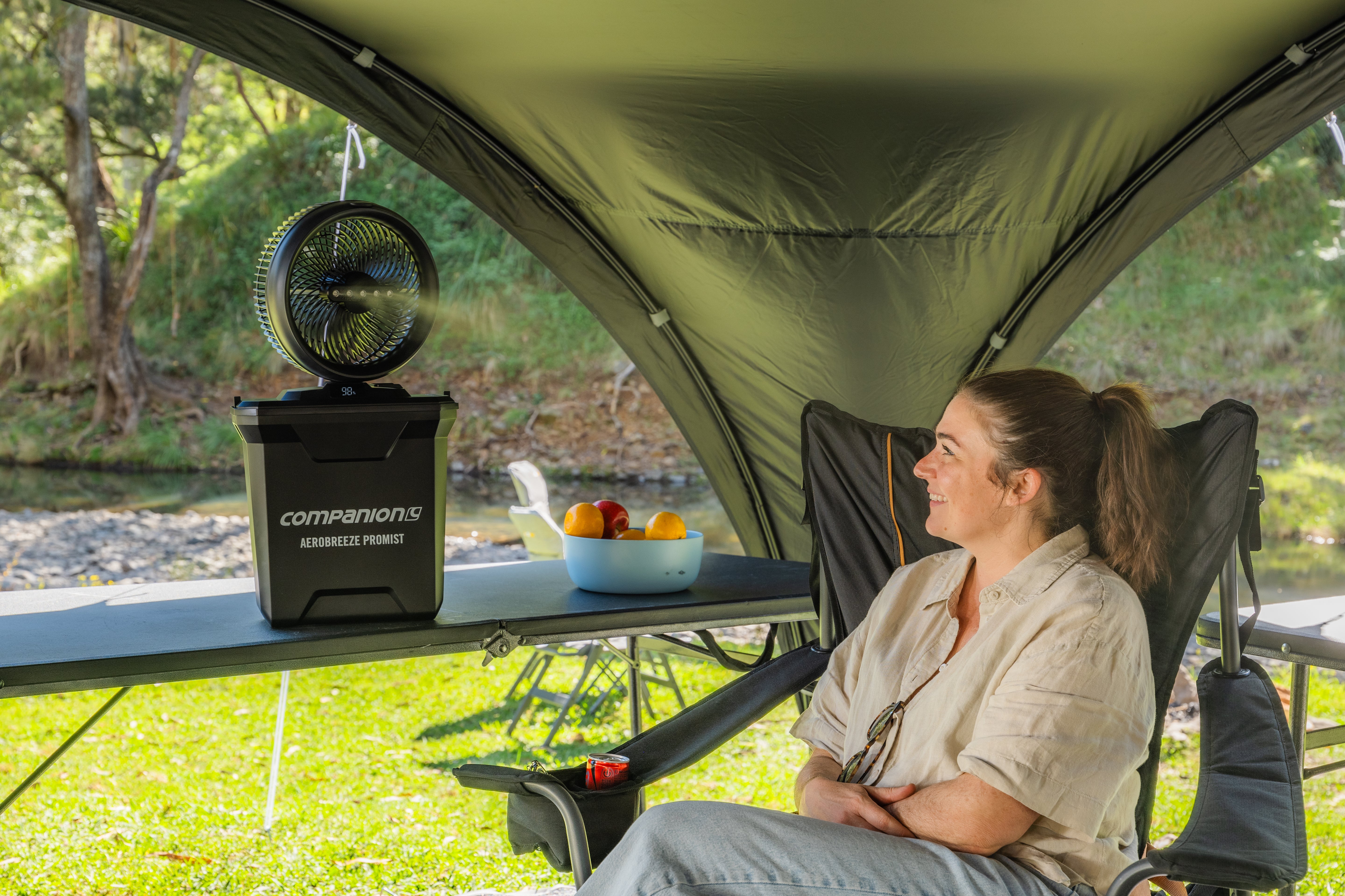 Companion Aerobreeze ProMist 25cm Oscillating Misting Fan