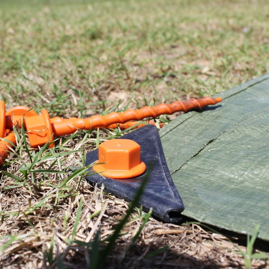 Peggy Peg Screw-in Pegs