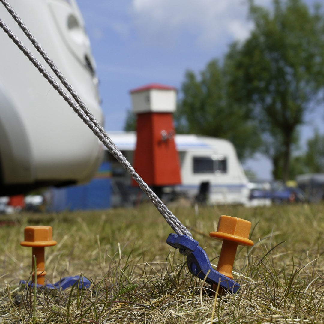 Peggy Peg Screw-in Pegs