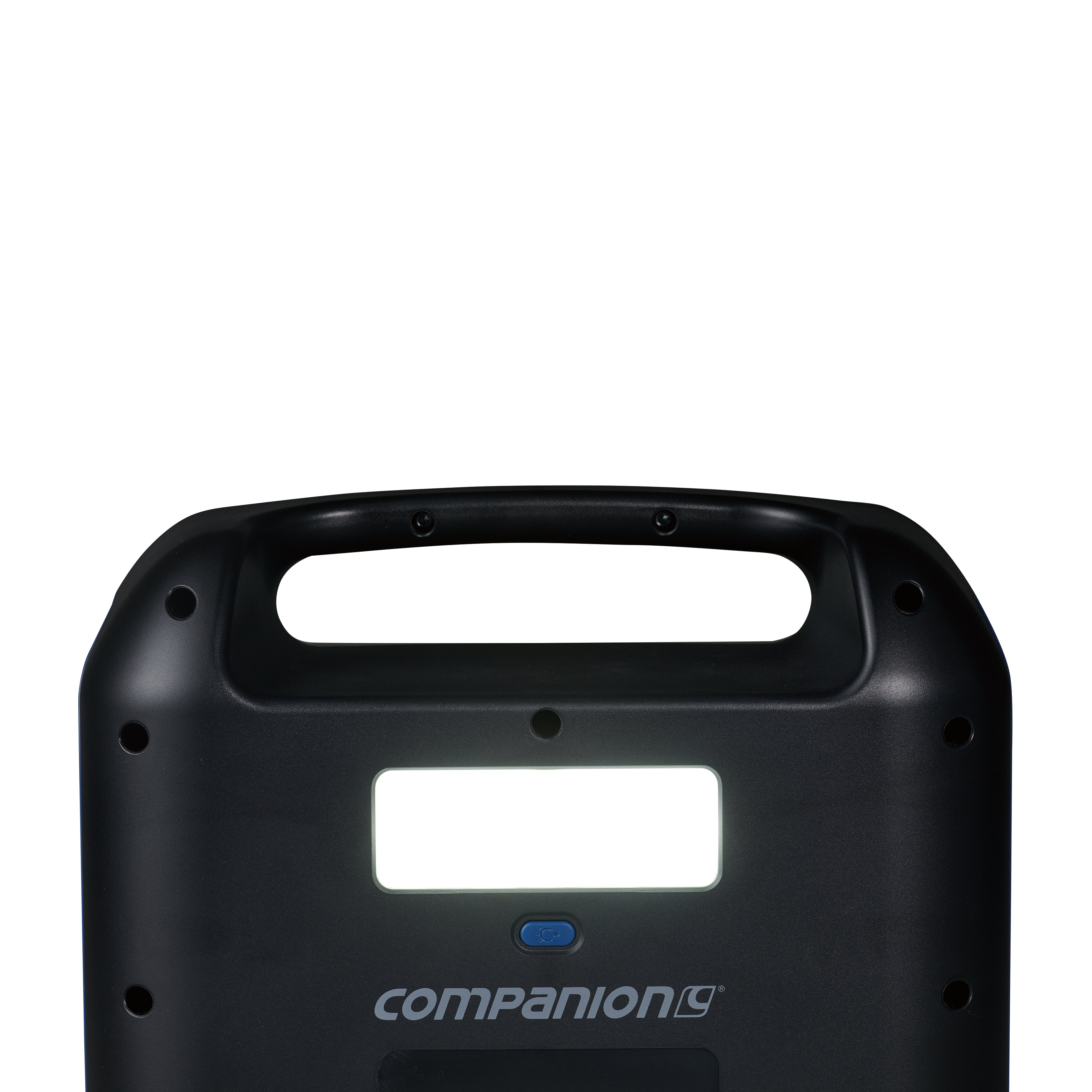 Companion Rover 300 Lithium Ion Power Station