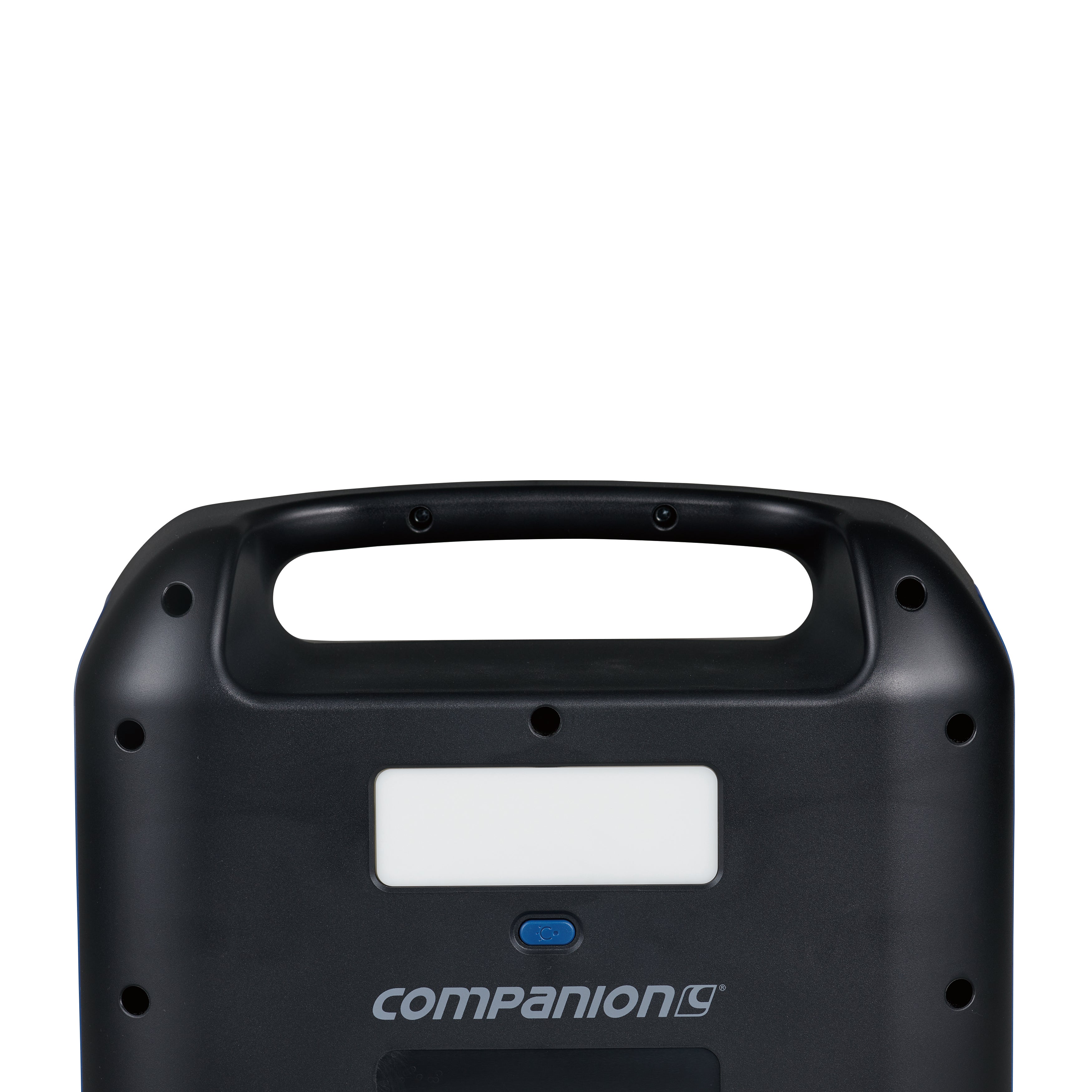 Companion Rover 300 Lithium Ion Power Station
