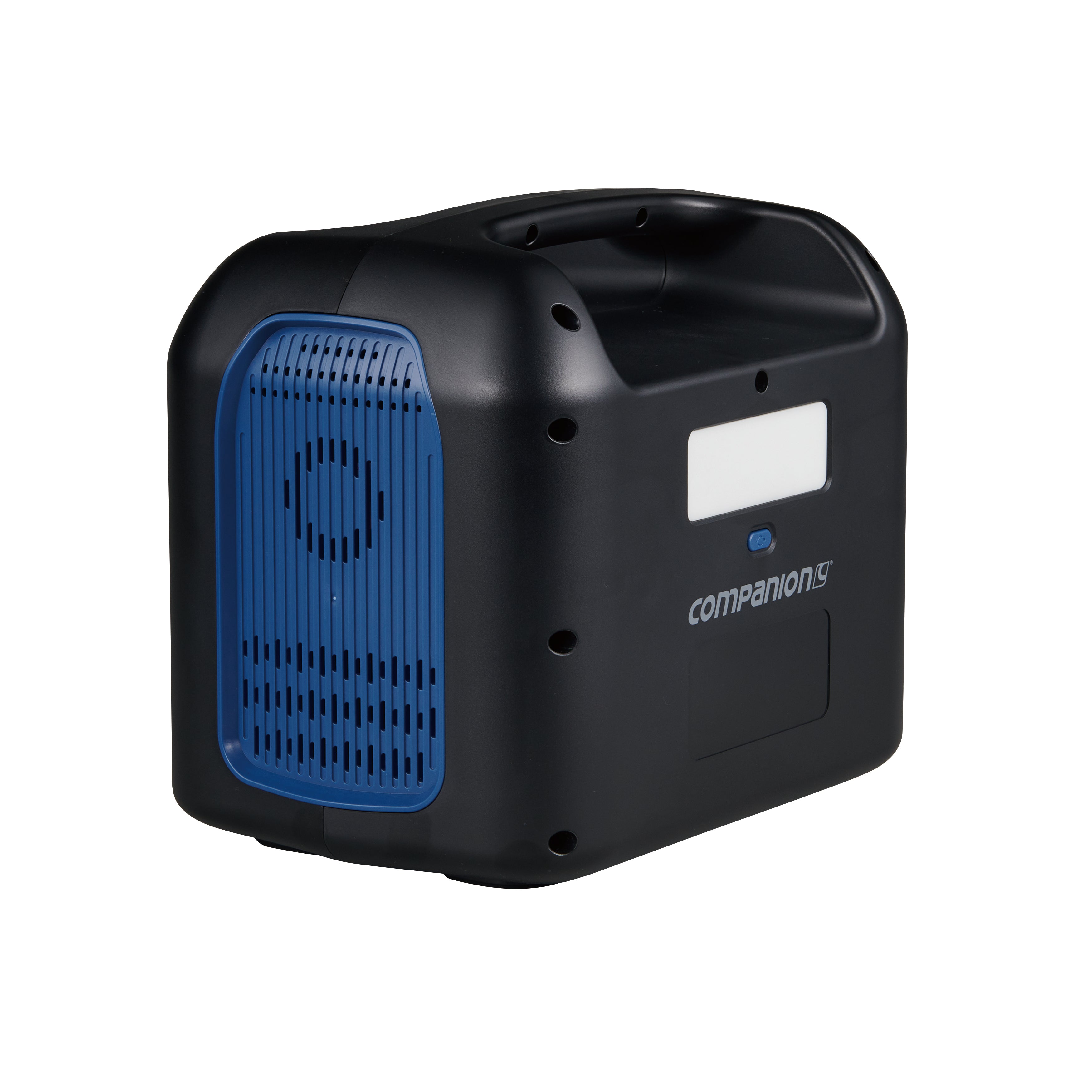 Companion Rover 300 Lithium Ion Power Station