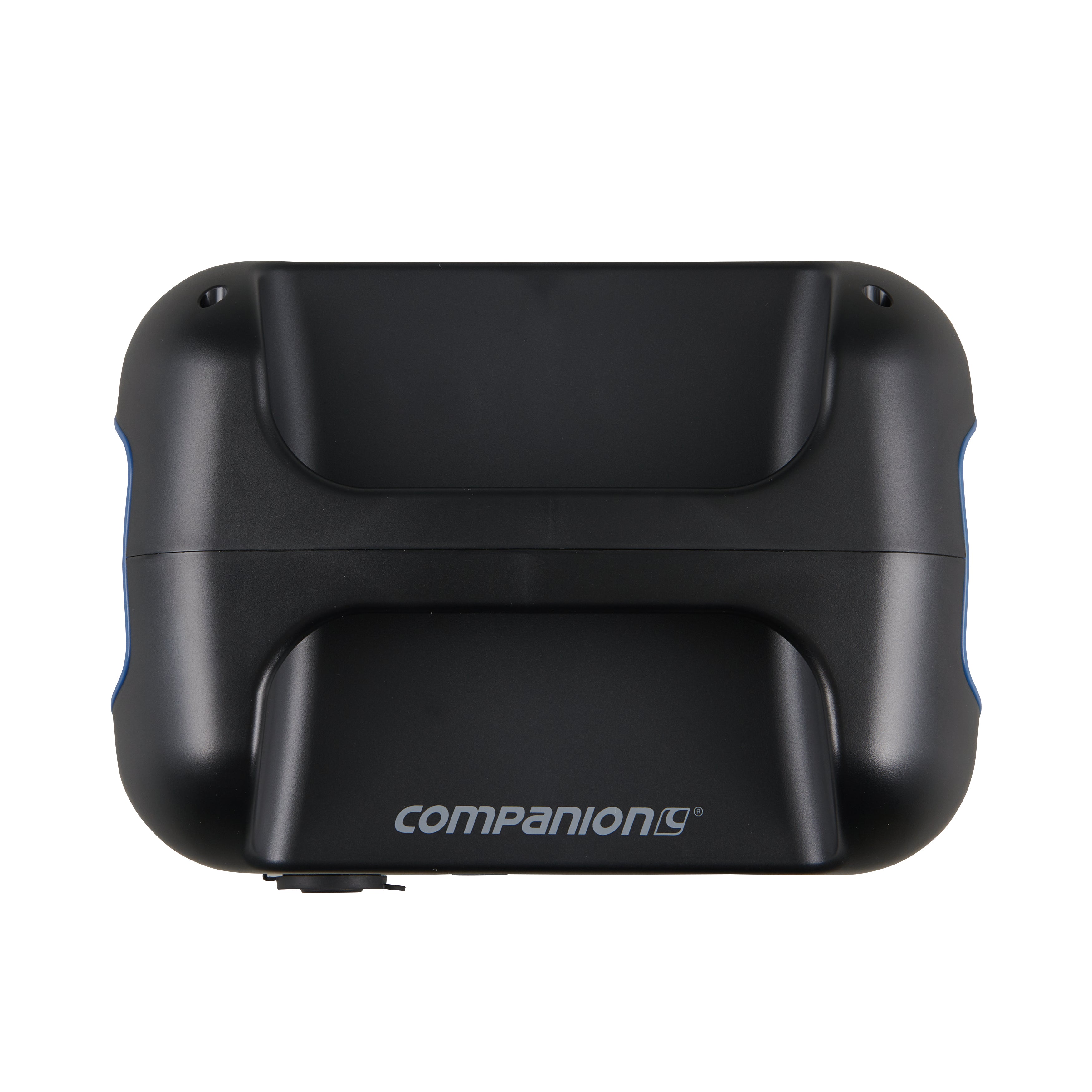 Companion Rover 300 Lithium Ion Power Station
