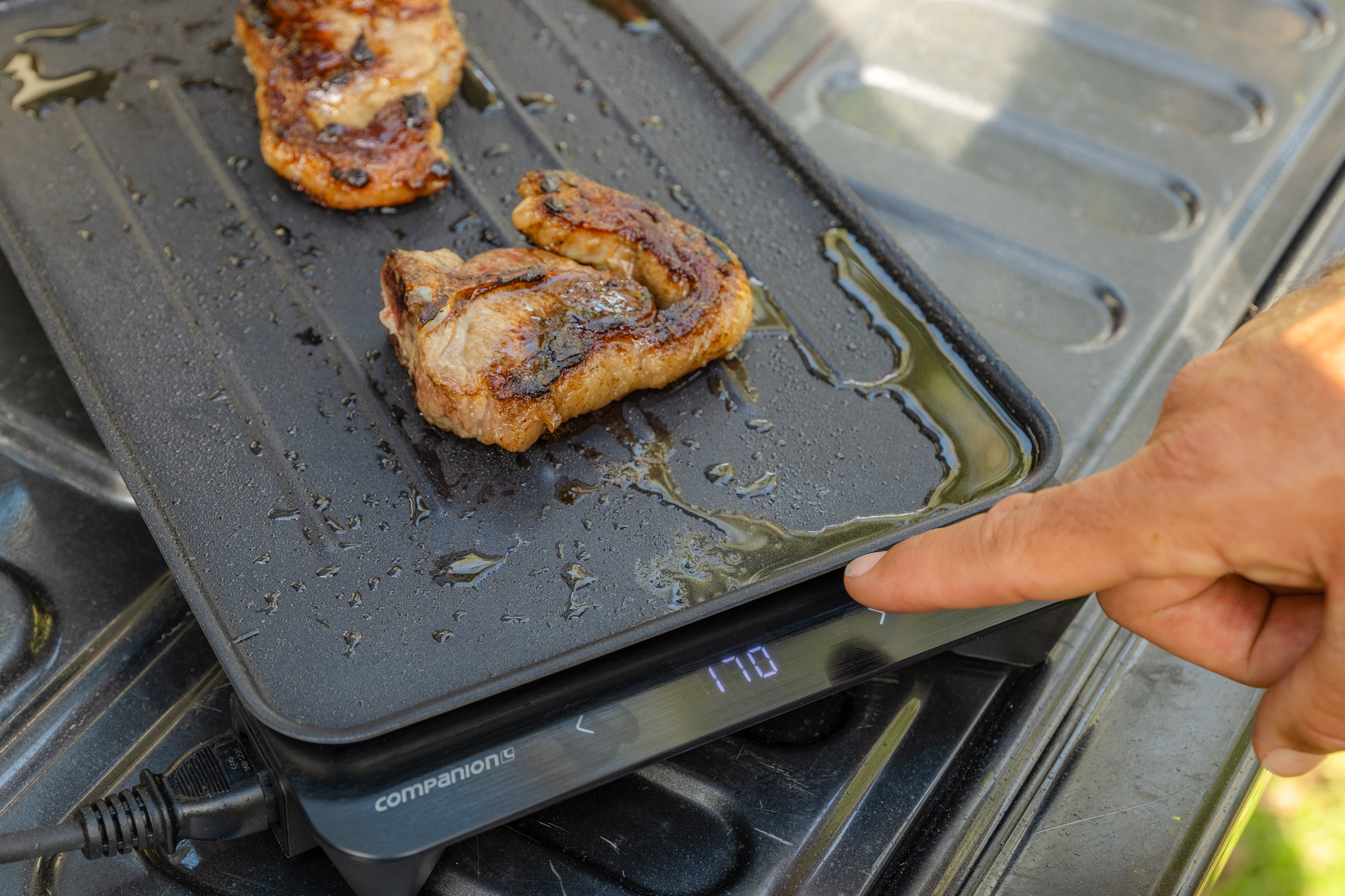 Companion Roam Swift Sear 240V BBQ