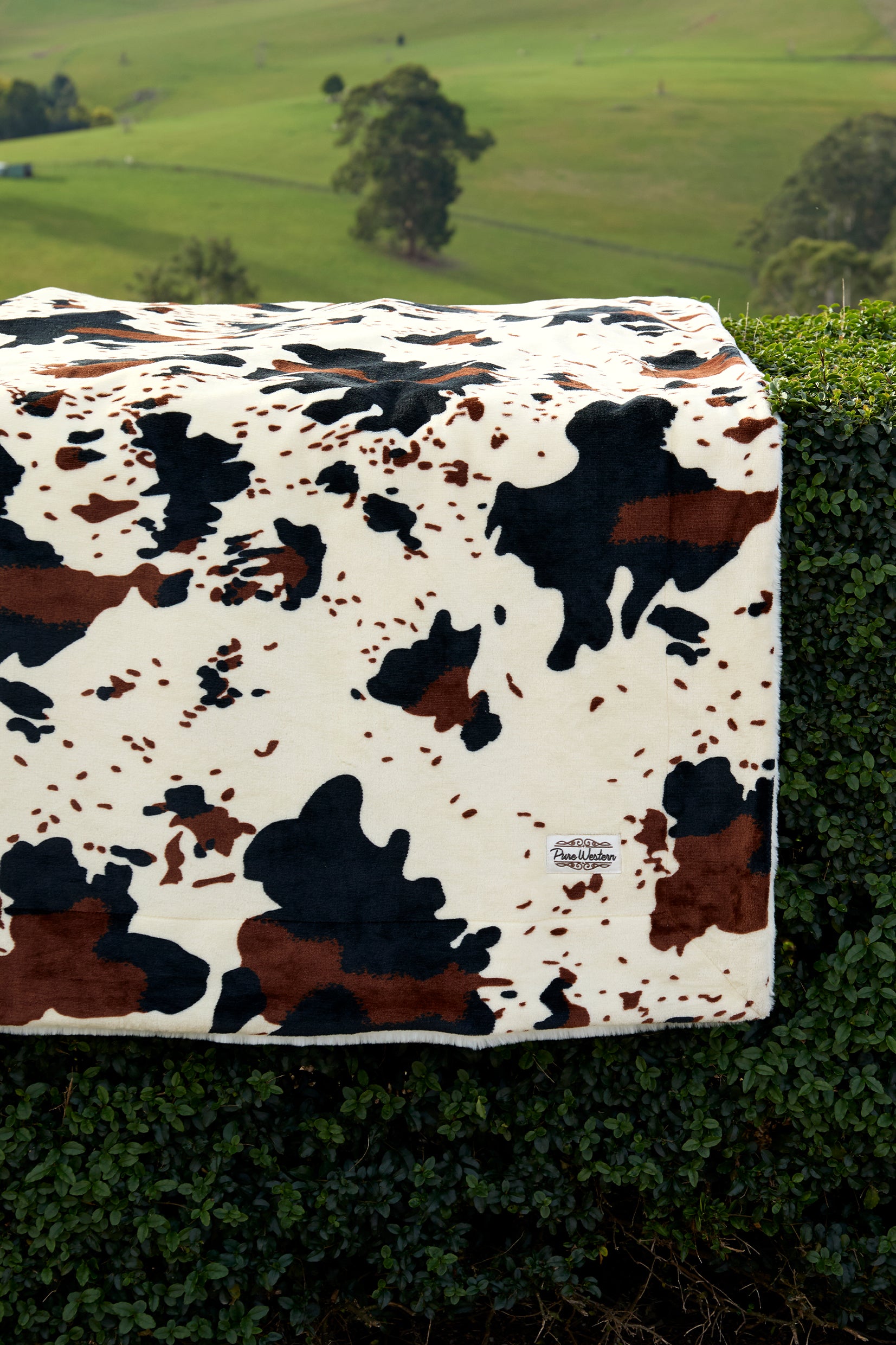 Pure Western Cow Print Snuggle Blanket